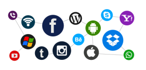 SEO Sight Social Media