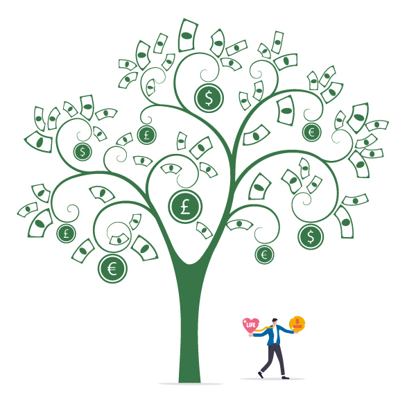 SEO Sight - Your Money Your Life - Money Tree